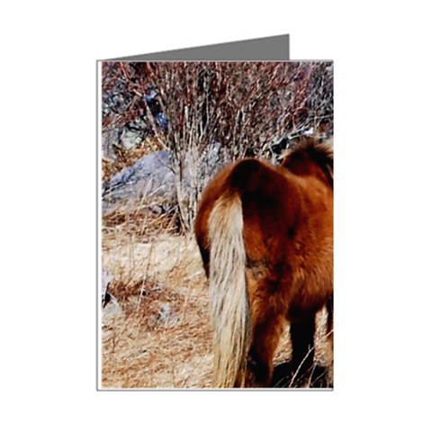 Pretty Pony Mini Greeting Card (8 Pack) from ArtsNow.com Right