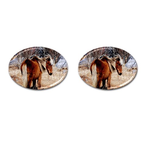 Pretty Pony Cufflinks (Oval) from ArtsNow.com Front(Pair)