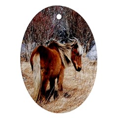 Pretty Pony Oval Ornament (Two Sides) from ArtsNow.com Back