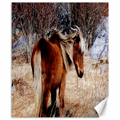 Pretty Pony Canvas 8  x 10  (Unframed) from ArtsNow.com 8.15 x9.66  Canvas - 1