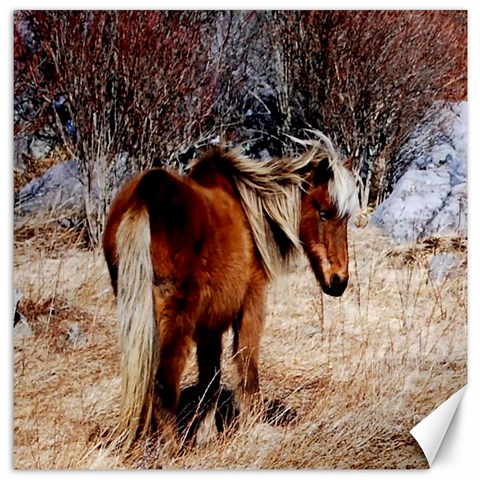 Pretty Pony Canvas 16  x 16  (Unframed) from ArtsNow.com 15.2 x15.41  Canvas - 1