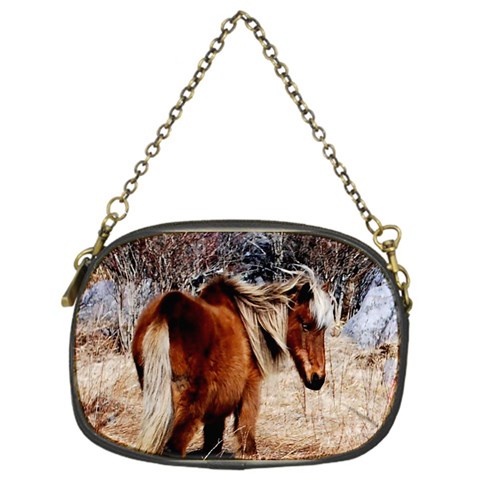 Pretty Pony Chain Purse (One Side) from ArtsNow.com Front