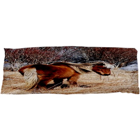 Pretty Pony Samsung Galaxy Nexus S i9020 Hardshell Case from ArtsNow.com Front