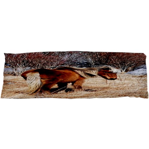 Pretty Pony Samsung Galaxy S i9008 Hardshell Case from ArtsNow.com Front