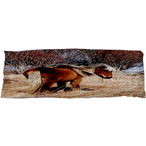 Pretty Pony Samsung S3350 Hardshell Case from ArtsNow.com Front