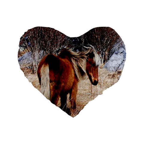 Pretty Pony 16  Premium Heart Shape Cushion  from ArtsNow.com Front