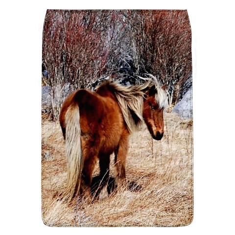 Pretty Pony Removable Flap Cover (Large) from ArtsNow.com Front