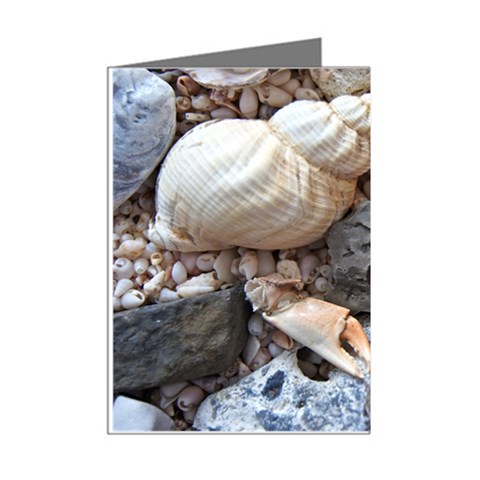 Beach Treasures Mini Greeting Card (8 Pack) from ArtsNow.com Right