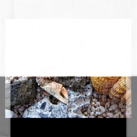 Beach Treasures Jigsaw Puzzle (Rectangle) from ArtsNow.com Front