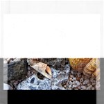 Beach Treasures Jigsaw Puzzle (Rectangle)