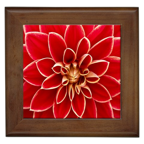 Red Dahila Framed Ceramic Tile from ArtsNow.com Front