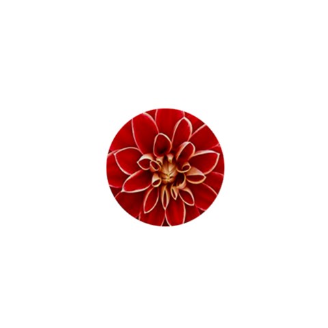 Red Dahila 1  Mini Button from ArtsNow.com Front