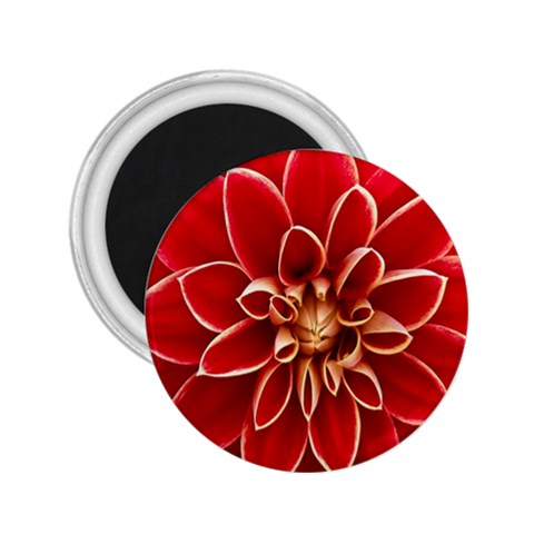 Red Dahila 2.25  Button Magnet from ArtsNow.com Front