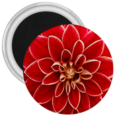 Red Dahila 3  Button Magnet from ArtsNow.com Front