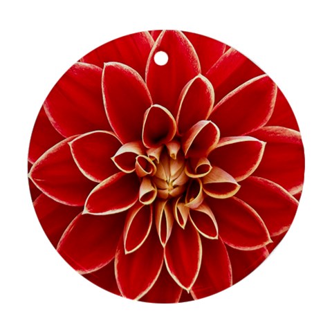 Red Dahila Round Ornament from ArtsNow.com Front