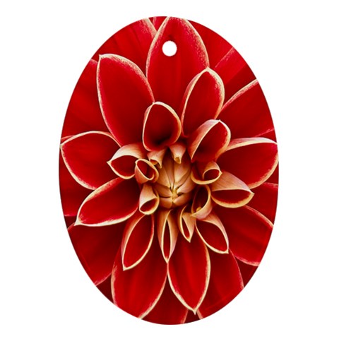 Red Dahila Oval Ornament from ArtsNow.com Front