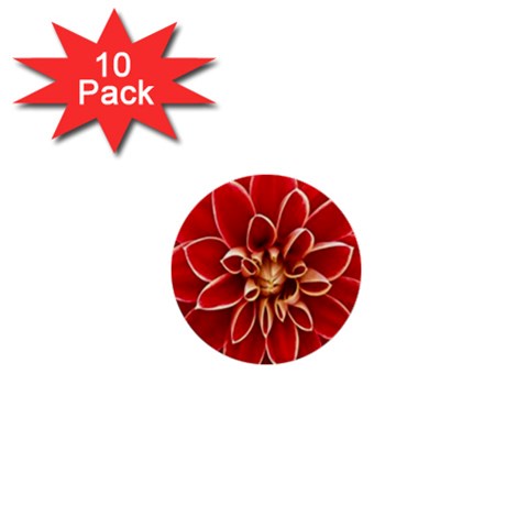 Red Dahila 1  Mini Button (10 pack) from ArtsNow.com Front