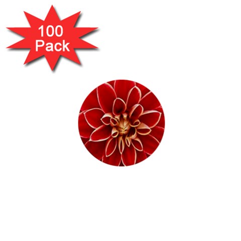 Red Dahila 1  Mini Button (100 pack) from ArtsNow.com Front