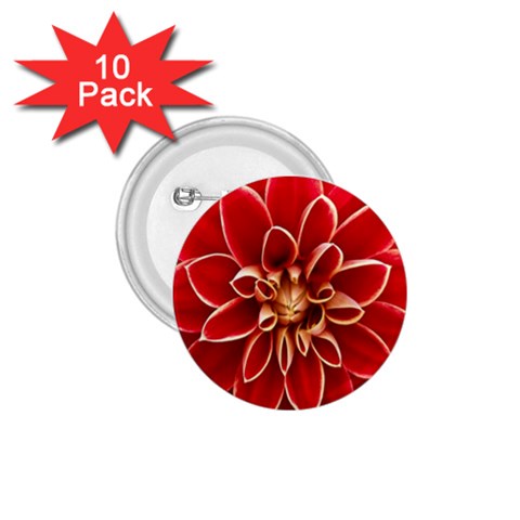 Red Dahila 1.75  Button (10 pack) from ArtsNow.com Front