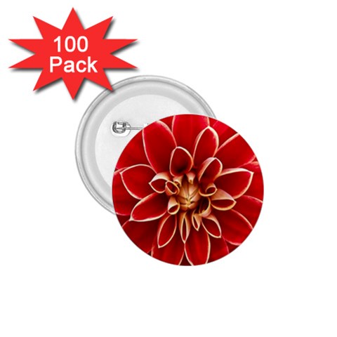 Red Dahila 1.75  Button (100 pack) from ArtsNow.com Front