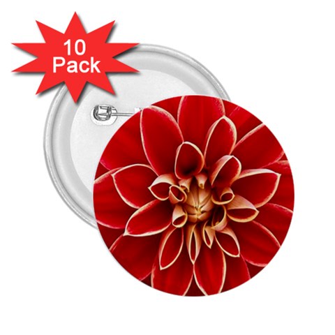 Red Dahila 2.25  Button (10 pack) from ArtsNow.com Front