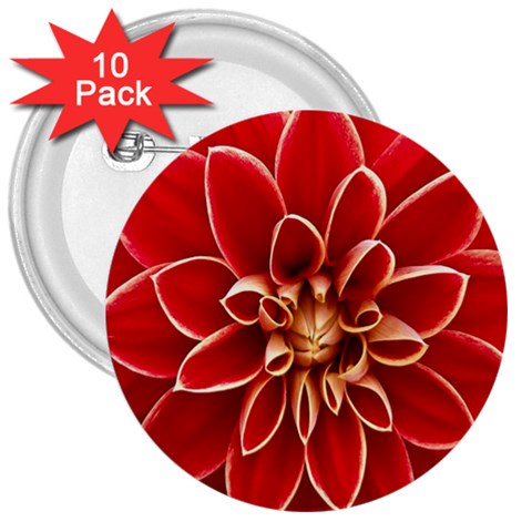 Red Dahila 3  Button (10 pack) from ArtsNow.com Front