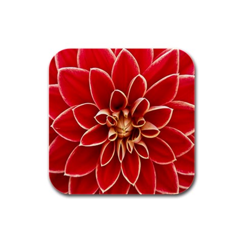 Red Dahila Drink Coasters 4 Pack (Square) from ArtsNow.com Front