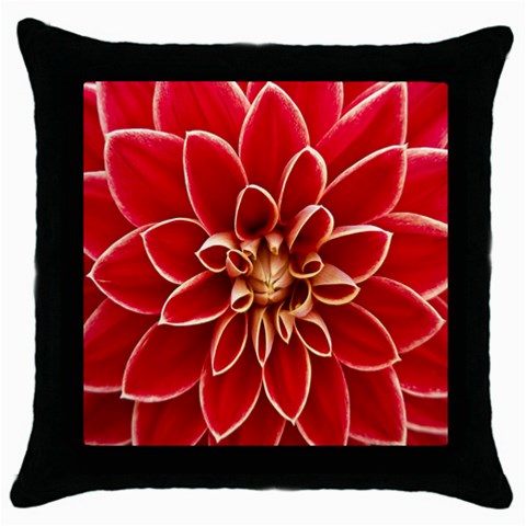 Red Dahila Black Throw Pillow Case from ArtsNow.com Front