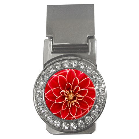 Red Dahila Money Clip (CZ) from ArtsNow.com Front