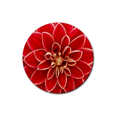 Red Dahila Drink Coaster (Round) from ArtsNow.com Front