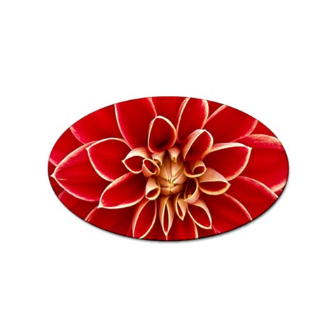 Red Dahila Sticker (Oval) from ArtsNow.com Front