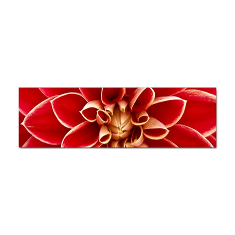 Red Dahila Bumper Sticker from ArtsNow.com Front