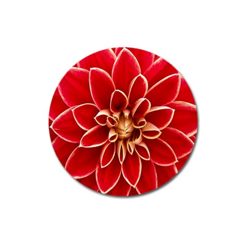 Red Dahila Magnet 3  (Round) from ArtsNow.com Front