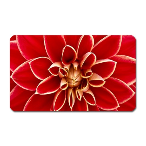 Red Dahila Magnet (Rectangular) from ArtsNow.com Front