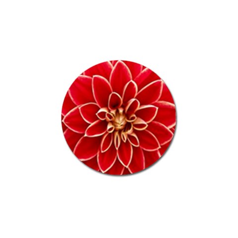 Red Dahila Golf Ball Marker 4 Pack from ArtsNow.com Front