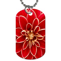 Red Dahila Dog Tag (Two Front