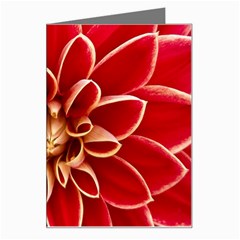 Red Dahila Greeting Card from ArtsNow.com Left