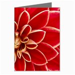 Red Dahila Greeting Card (8 Pack)