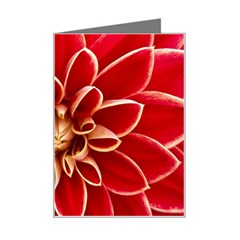 Red Dahila Mini Greeting Card from ArtsNow.com Left