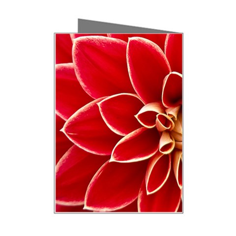 Red Dahila Mini Greeting Card from ArtsNow.com Right