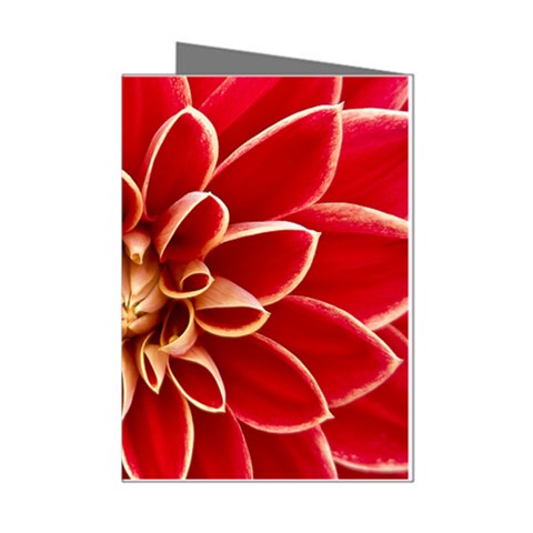 Red Dahila Mini Greeting Card (8 Pack) from ArtsNow.com Left