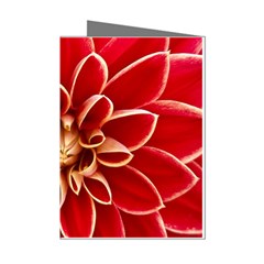 Red Dahila Mini Greeting Card (8 Pack) from ArtsNow.com Left