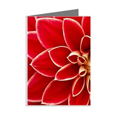 Red Dahila Mini Greeting Card (8 Pack) from ArtsNow.com Right