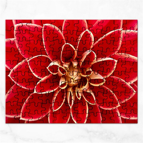 Red Dahila Jigsaw Puzzle (Rectangle) from ArtsNow.com Front