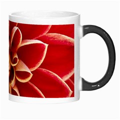 Red Dahila Morph Mug from ArtsNow.com Right