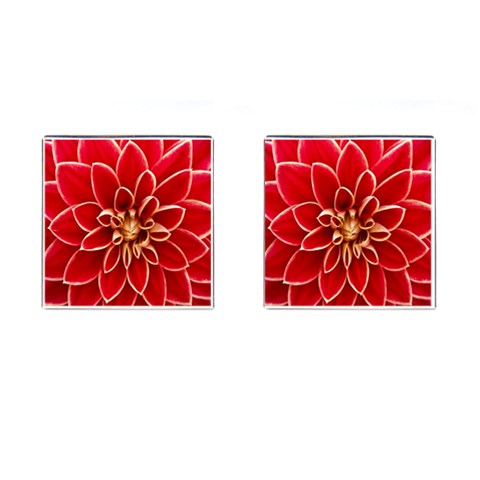 Red Dahila Cufflinks (Square) from ArtsNow.com Front(Pair)