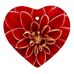 Red Dahila Heart Ornament (Two Sides) from ArtsNow.com Back