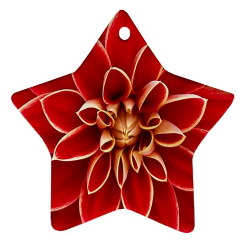 Red Dahila Star Ornament (Two Sides) from ArtsNow.com Back