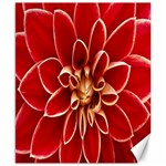 Red Dahila Canvas 8  x 10  (Unframed)