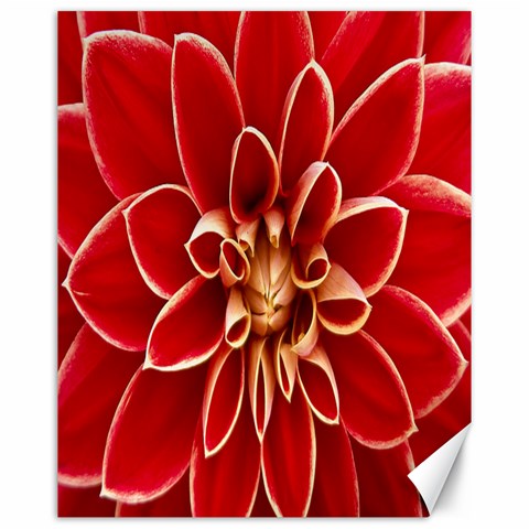 Red Dahila Canvas 16  x 20  (Unframed) from ArtsNow.com 15.75 x19.29  Canvas - 1